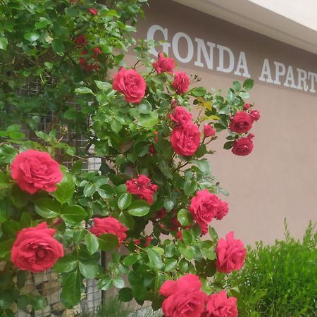 Hradec Králové Gonda Apartments מראה חיצוני תמונה
