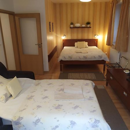 Hradec Králové Gonda Apartments מראה חיצוני תמונה
